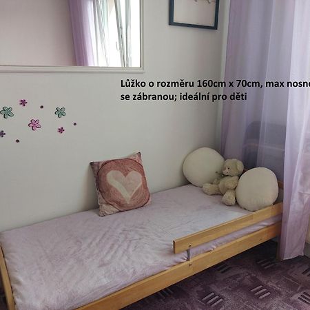 Apartman V Podhuri Krusnych Hor Sokolov Buitenkant foto