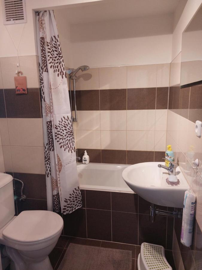 Apartman V Podhuri Krusnych Hor Sokolov Buitenkant foto