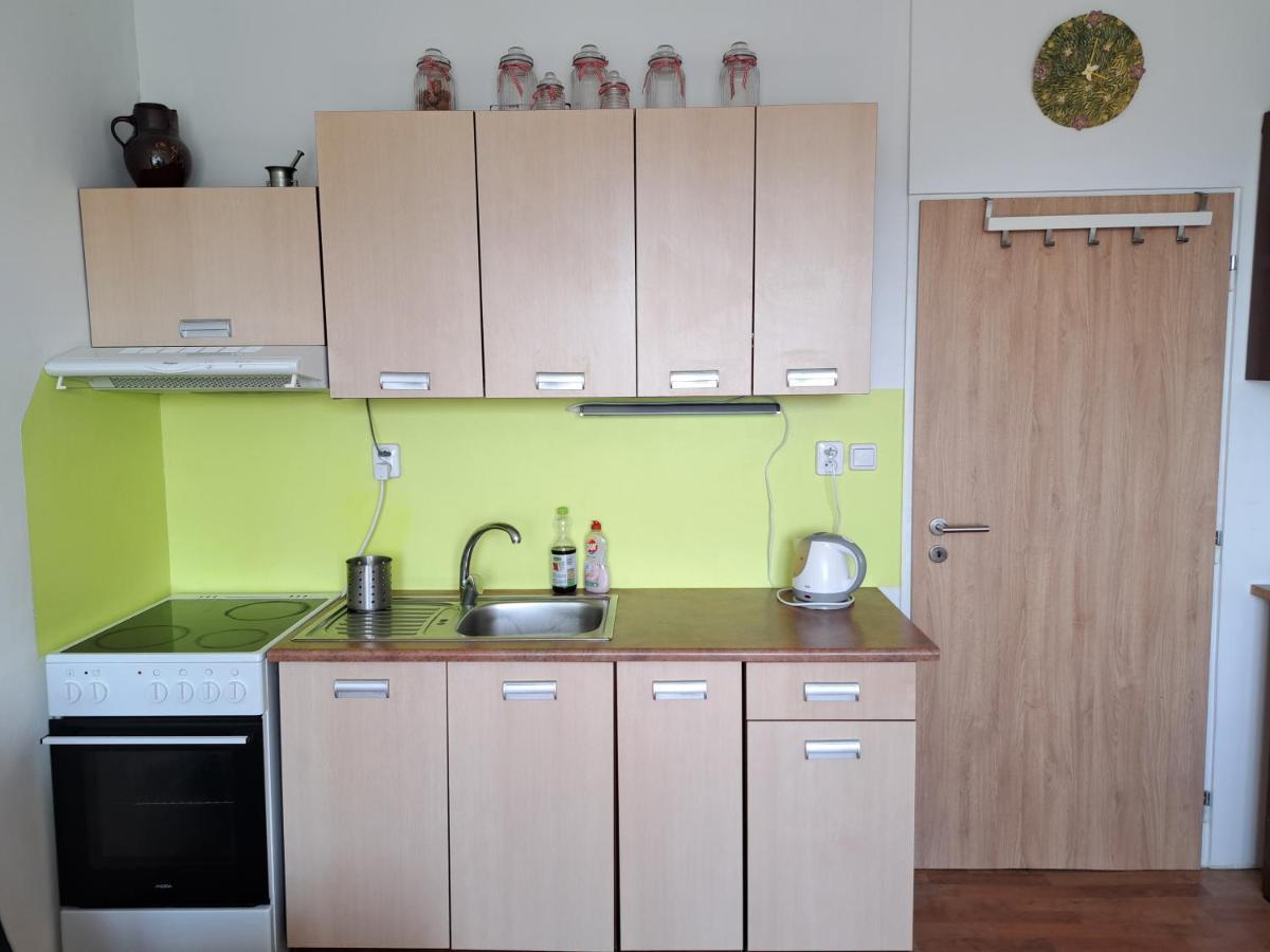 Apartman V Podhuri Krusnych Hor Sokolov Buitenkant foto